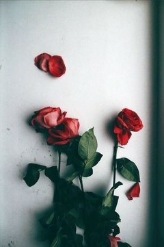 RED ROSE (aroma)