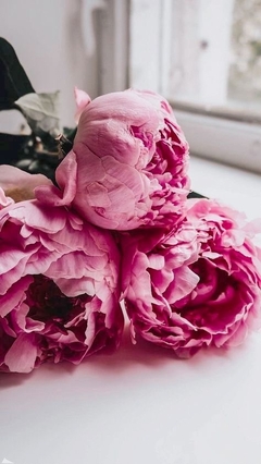 Peonias (aroma)