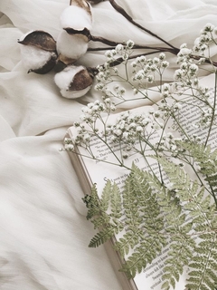 COTTON (aroma)