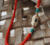 Banner de ESENCIAS BYJUS