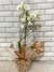 Orquídea Phalaenopsis para Presente - comprar online