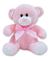 Urso Pelucia Fofo macio com Lacinho Antialergico 20cm Rosa