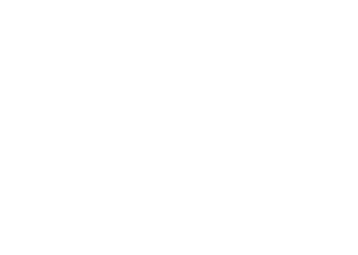 BRIS HOME