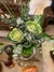 Arreglos florales en internet