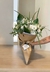 Ramo Coque - comprar online
