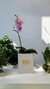 Orquidea box - comprar online