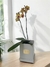 Orquidea box - Coque