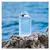 Light Blue Pour Femme Intense Dolce&Gabbana Perfume Feminino - Eau de Parfum - 100ml na internet