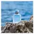 Light Blue Pour Homme Intense Dolce&Gabbana Perfume Masculino - Eau de Parfum - 50ml na internet