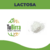 LACTOSA