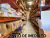 Bucha Da Barra Tensora Traseira (Gaiola/Lataria) - Lifan 320 - TS Parts