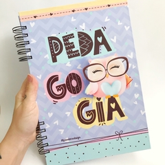 Caderno Profissão - Pedagogia 15,5x21,5