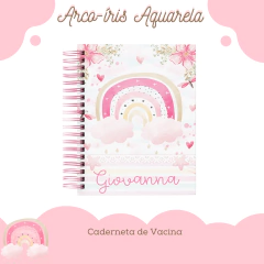 Kit Livro do Bebê / Caderneta Vacina + porta documentos - Tema Arco Iris Menina na internet