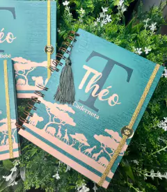 Kit Livro do Bebê / Caderneta Vacina + porta documentos - Tema Safari Linho - Alfabeto Menino