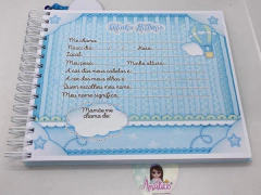 Livro do Bebê – Ursinho Baloeiro - Menino - loja online