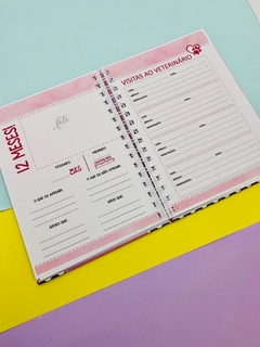 Caderneta PET - Analice Ateliê