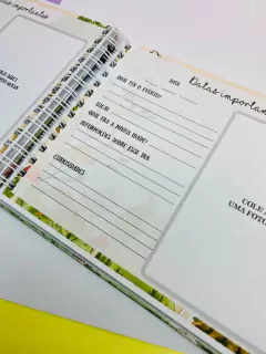 Kit Livro do Bebê / Caderneta Vacina + porta documentos - Tema Bosque Encantado Menino