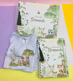 Kit Livro do Bebê / Caderneta Vacina + porta documentos - Tema Bosque Encantado Menino na internet
