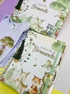 Kit Livro do Bebê / Caderneta Vacina + porta documentos - Tema Bosque Encantado Menino - comprar online