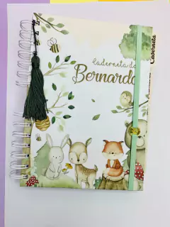Kit Livro do Bebê / Caderneta Vacina + porta documentos - Tema Bosque Encantado Menino - Analice Ateliê