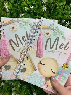 Kit Livro do Bebê / Caderneta Vacina + porta documentos - Tema Abelinha - Menina - Analice Ateliê