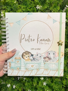 Kit Livro do Bebê / Caderneta Vacina + porta documentos - Tema Trem Animais - Menino na internet