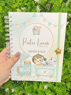 Kit Livro do Bebê / Caderneta Vacina + porta documentos - Tema Trem Animais - Menino - comprar online