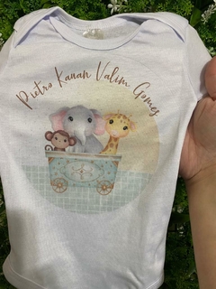 Kit Livro do Bebê / Caderneta Vacina + porta documentos - Tema Trem Animais - Menino - Analice Ateliê