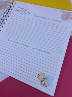 Kit Livro do Bebê / Caderneta Vacina + porta documentos - Tema Abelinha - Menina na internet