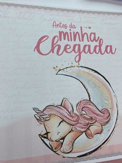 Kit Livro do Bebê / Caderneta Vacina + porta documentos - Tema Unicórnio - Menina - loja online