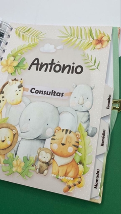 Kit Livro do Bebê / Caderneta Vacina + Porta documentos - Tema Safari Menino - comprar online