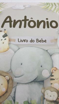 Kit Livro do Bebê / Caderneta Vacina + Porta documentos - Tema Safari Menino - comprar online