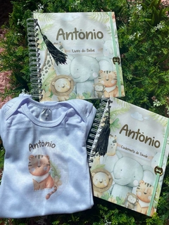 Kit Livro do Bebê / Caderneta Vacina + Porta documentos - Tema Safari Menino