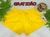 SHORTS TACTEL GG - Prado Moda Fitness