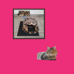 RASCADOR CON CUCHA - comprar online