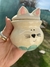 Azucarera Gatito en internet