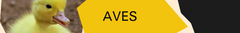 Banner de la categoría Alimento