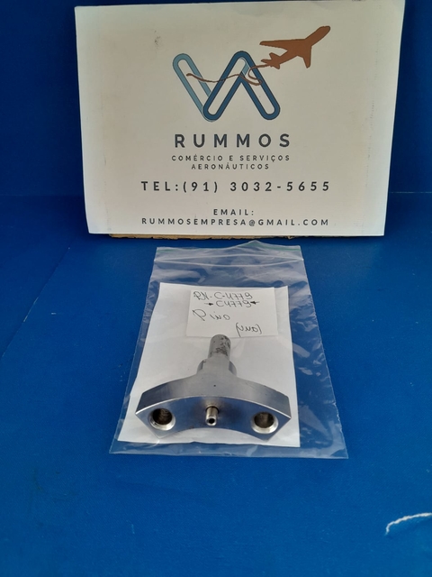 Pino - PN/ C-4779 (Und)