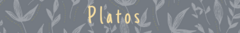 Banner de la categoría Platos 