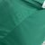 Camisa palmeiras I Regata 24/25 Torcedor puma Masculina - verde - OnSoccer