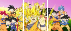 Cuadro Dragon Ball Personajes 2 en internet