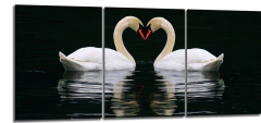 Cuadro Cisnes Corazon