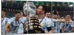 Cuadro Argentina Messi Beso Copa