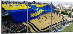 Cuadro Boca Juniors 2 Banderas