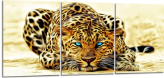 Cuadro Cheetah Ojos Azules