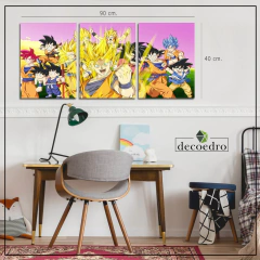 Cuadro Dragon Ball Personajes 2 - comprar online