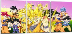 Cuadro Dragon Ball Personajes 2
