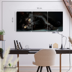 Cuadro Gato Negro - comprar online
