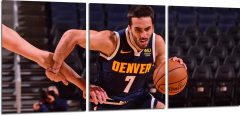Cuadro Facu Campazzo