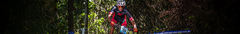 Banner da categoria Extralight